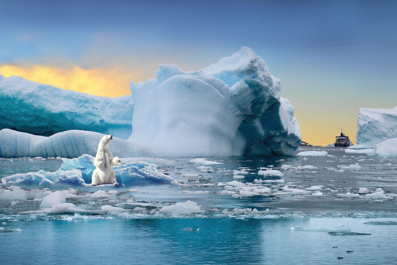 Climate Change and Infectious Diseases: A Growing Threat?